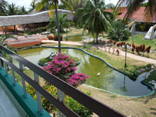 I giardini tropicali del villaggio - clicca per ingrandire