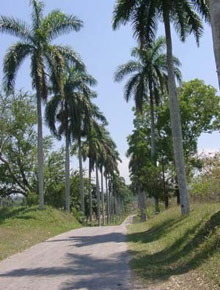 Cienfuegos: l'ingresso al Jardin Botanico